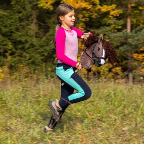Kasztanowaty konik hobby horse duży A3 kantar HH